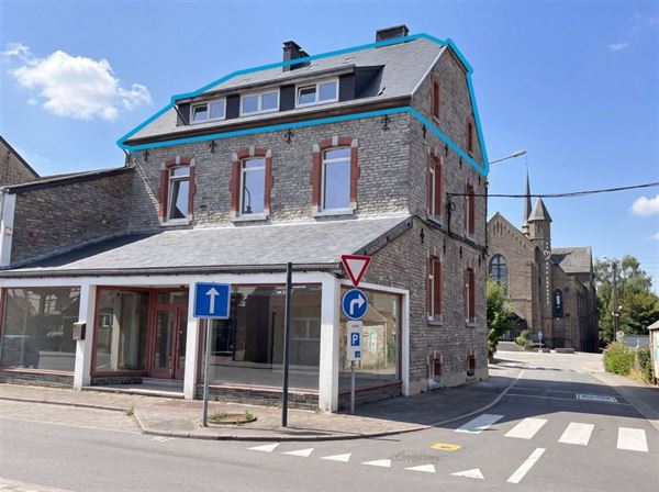 Spacieux appartement 2ch entièrement rénové -parking +cave