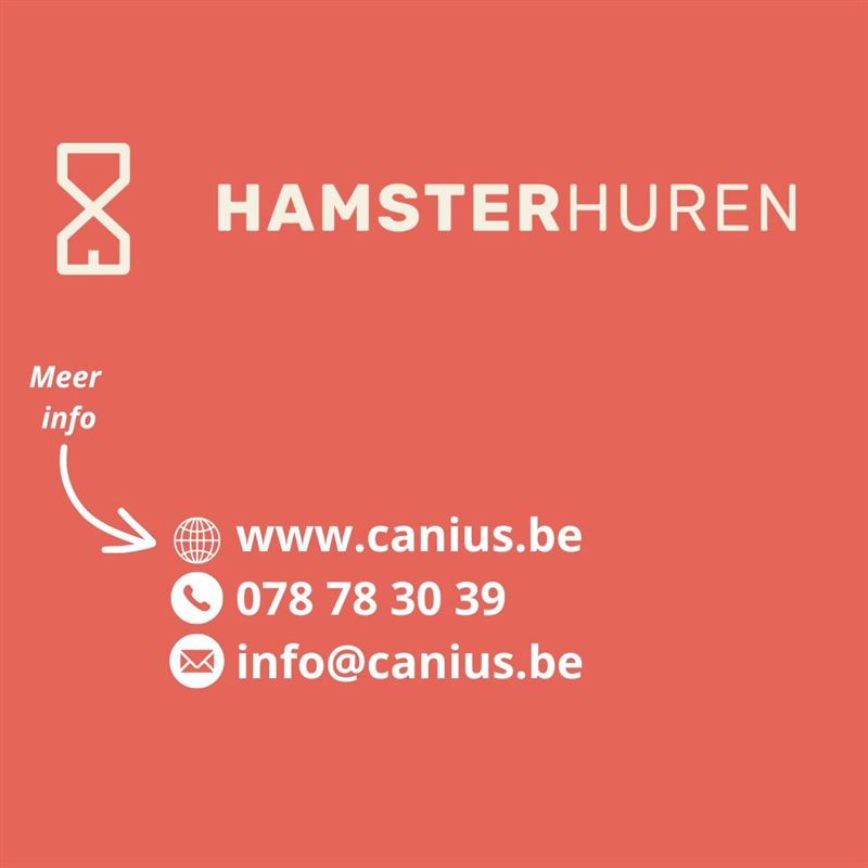 HEDENDAAGSE & ENERGIEZUINIGE HOB MET 3 SLKS & TUIN