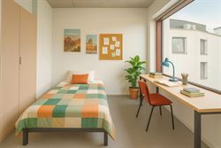 TULPSTRAAT 103 / A307 ANTWERPEN