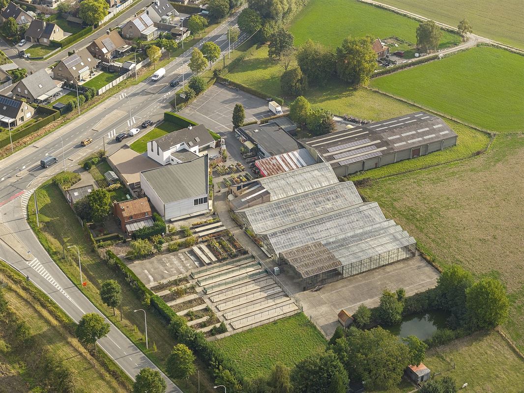 Handelspand met woonst