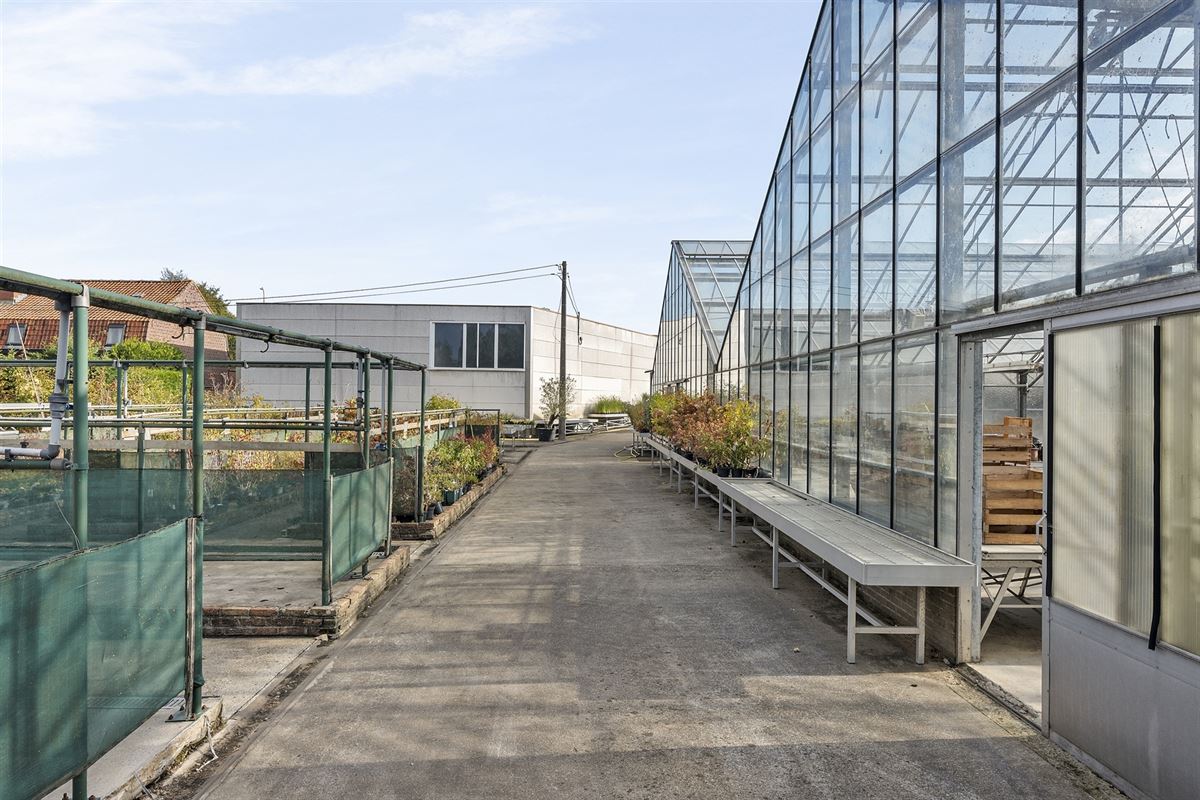 Handelspand met woonst