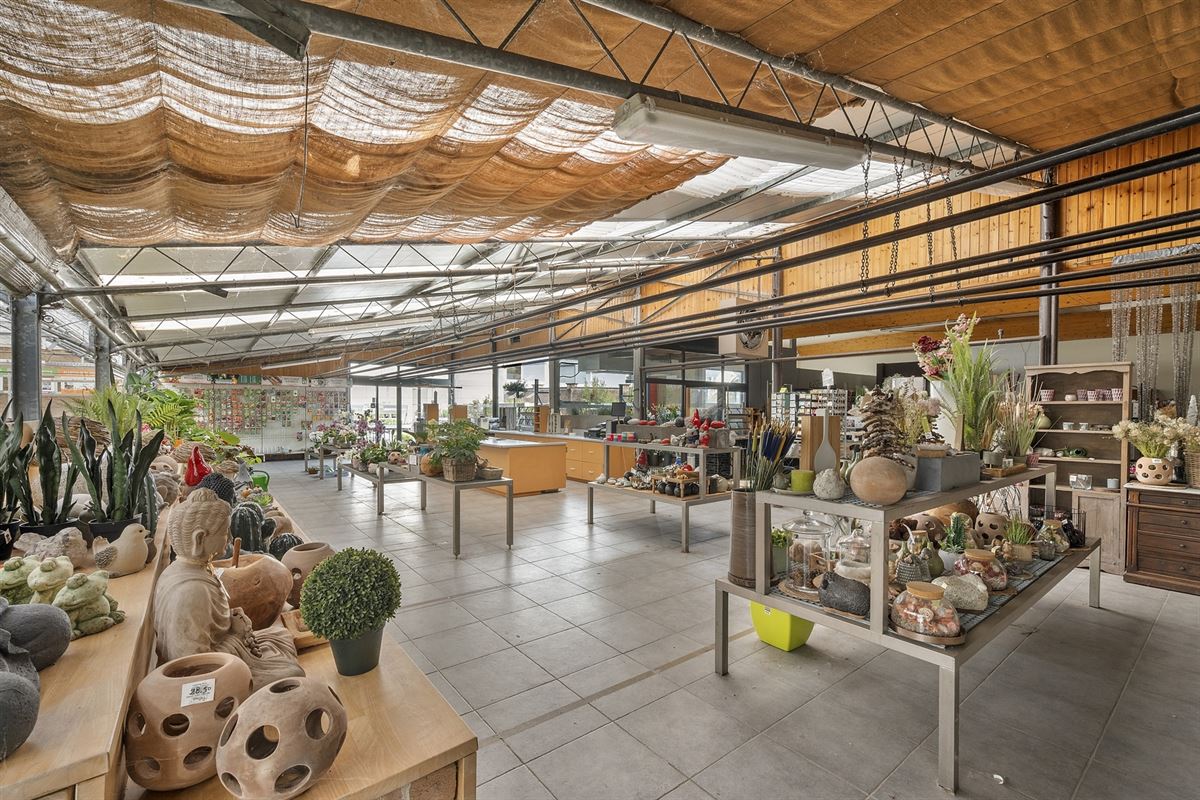 Handelspand met woonst