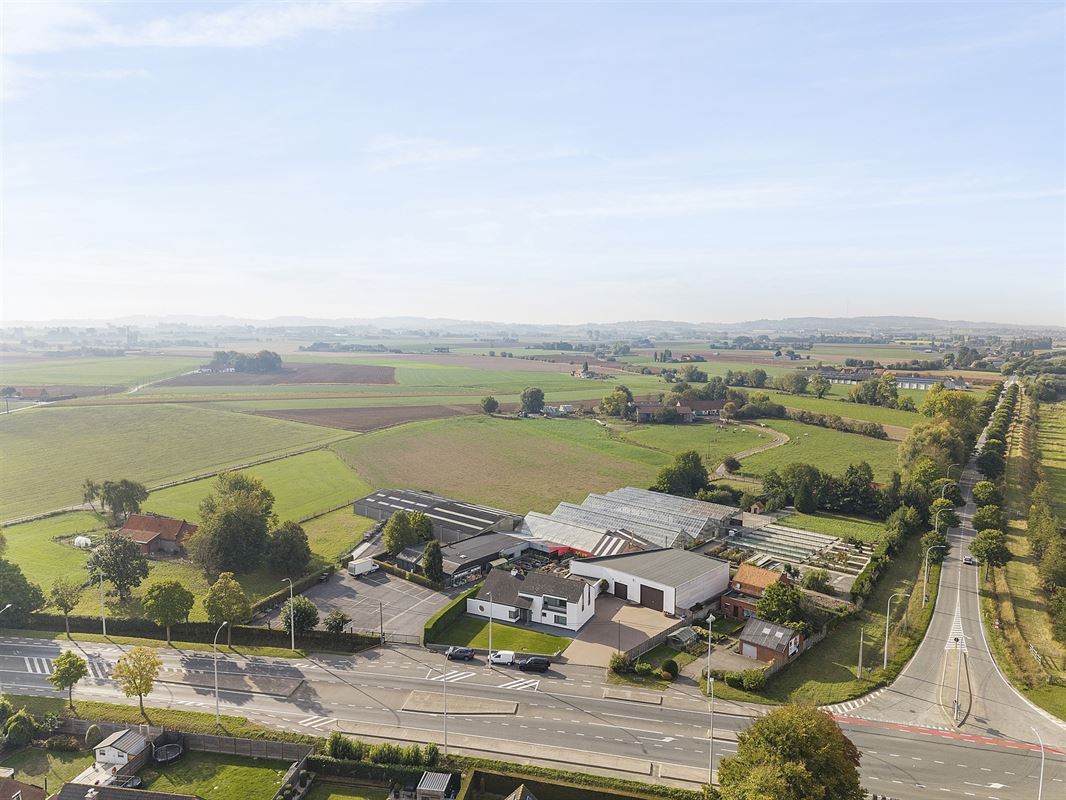 Handelspand met woonst