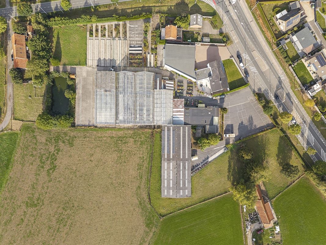 Handelspand met woonst