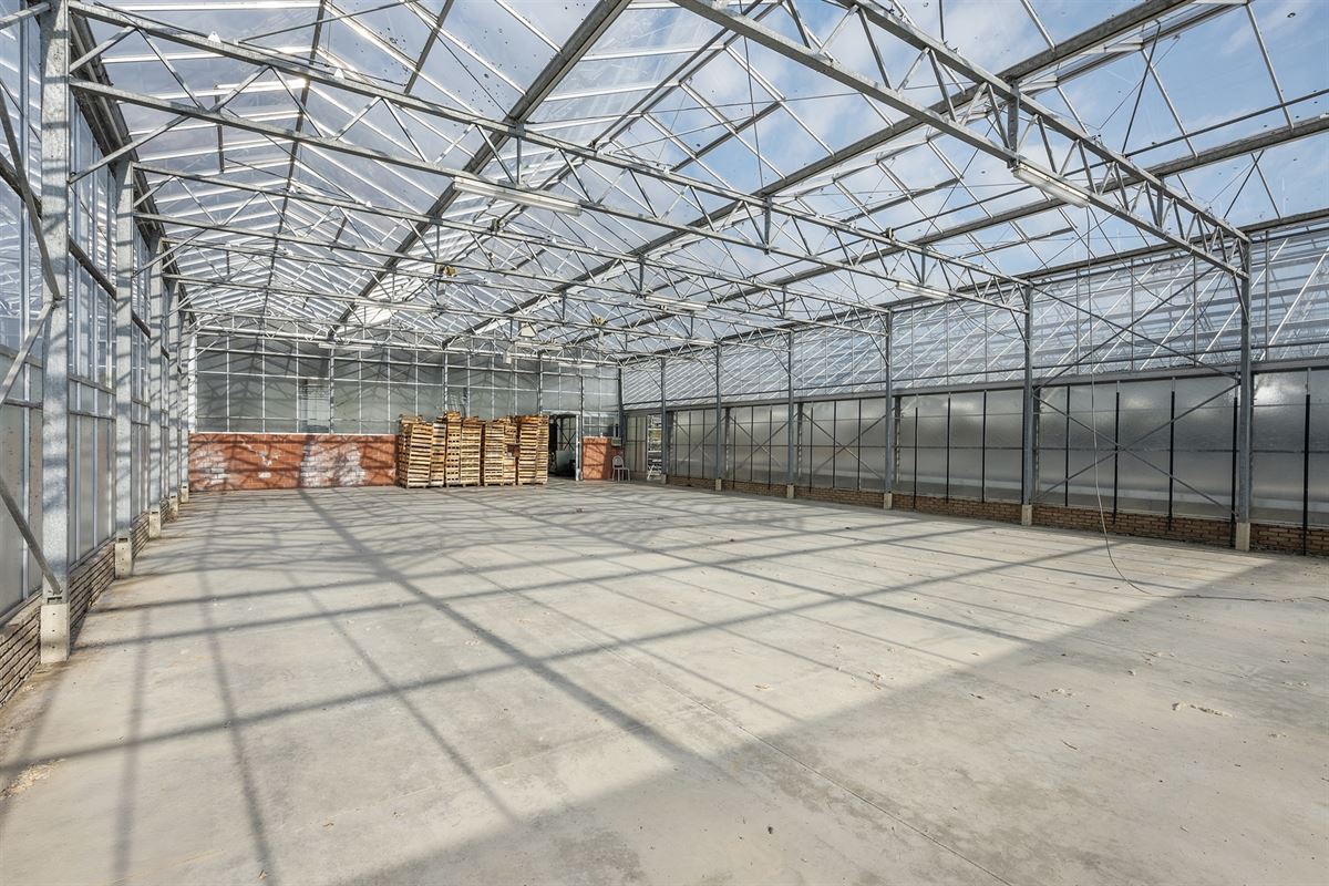 Handelspand met woonst