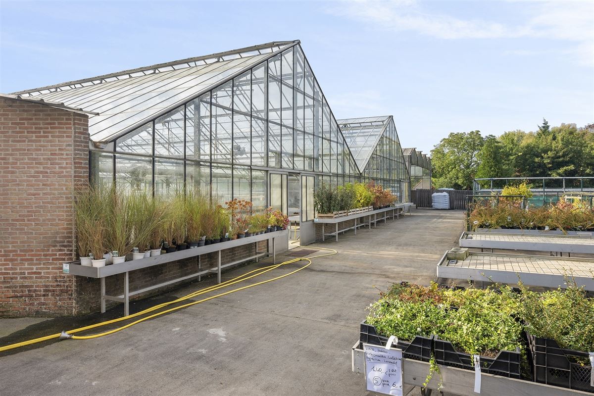 Handelspand met woonst