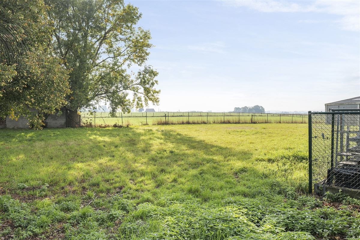 Handelspand met woonst