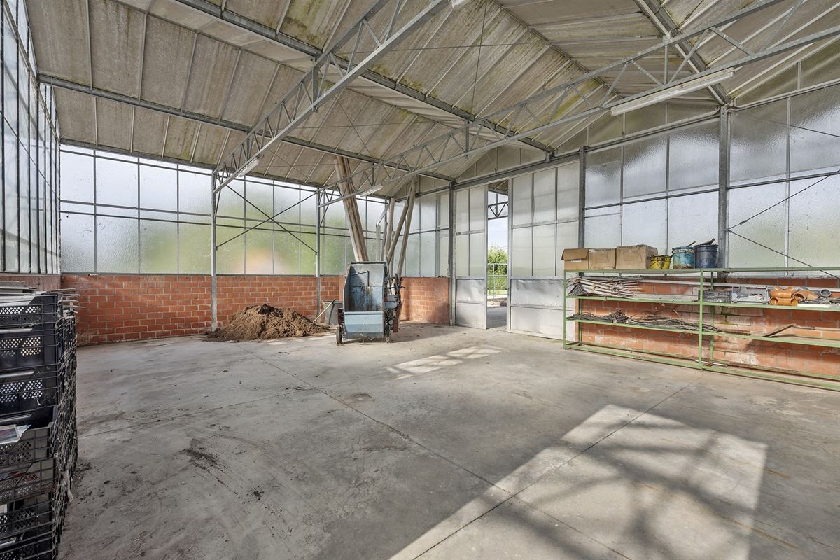 Handelspand met woonst