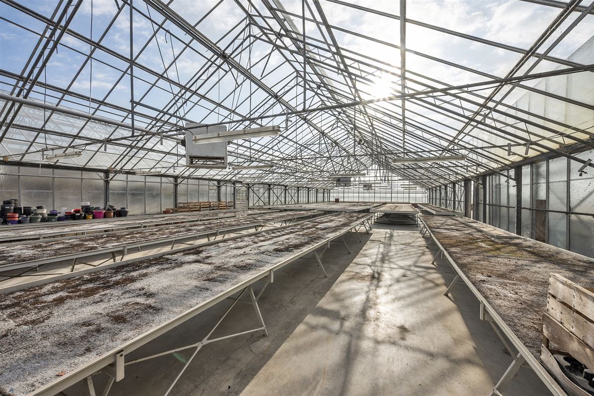 Handelspand met woonst