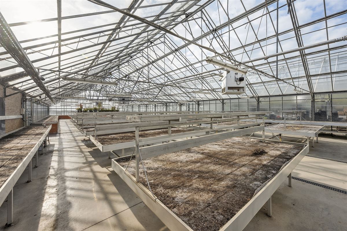 Handelspand met woonst