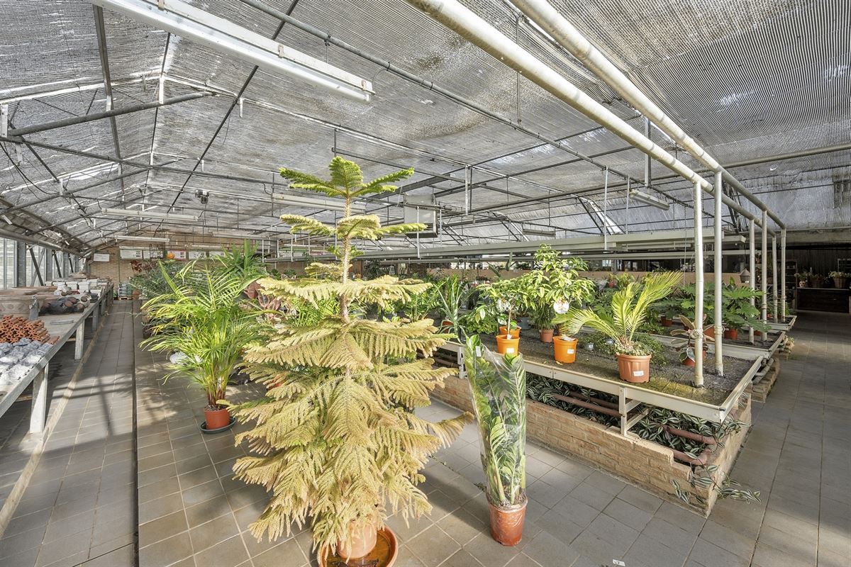 Handelspand met woonst