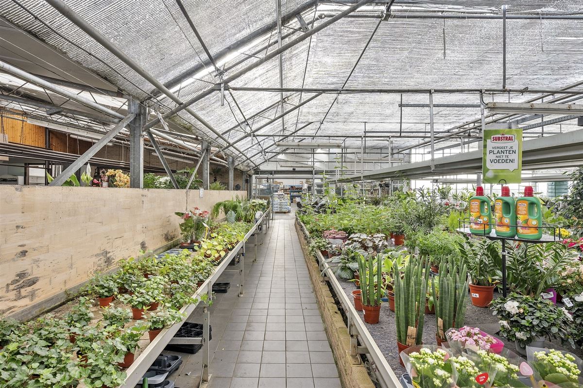 Handelspand met woonst