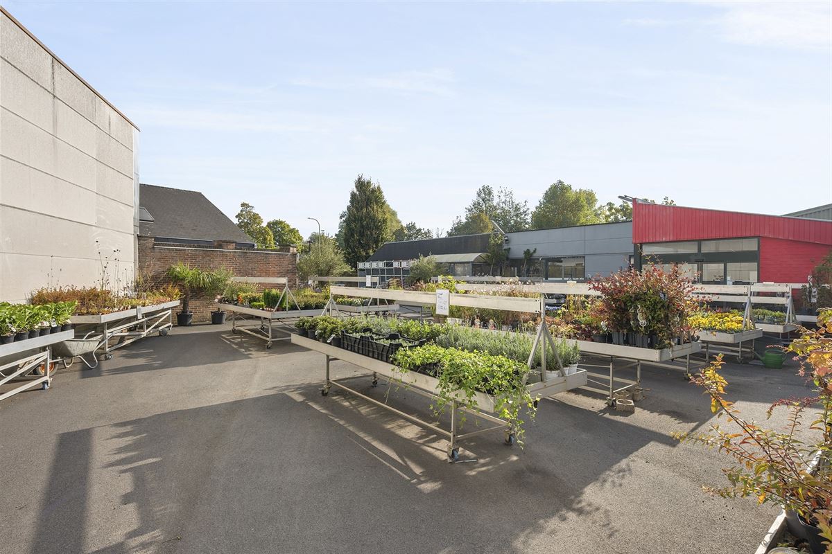 Handelspand met woonst