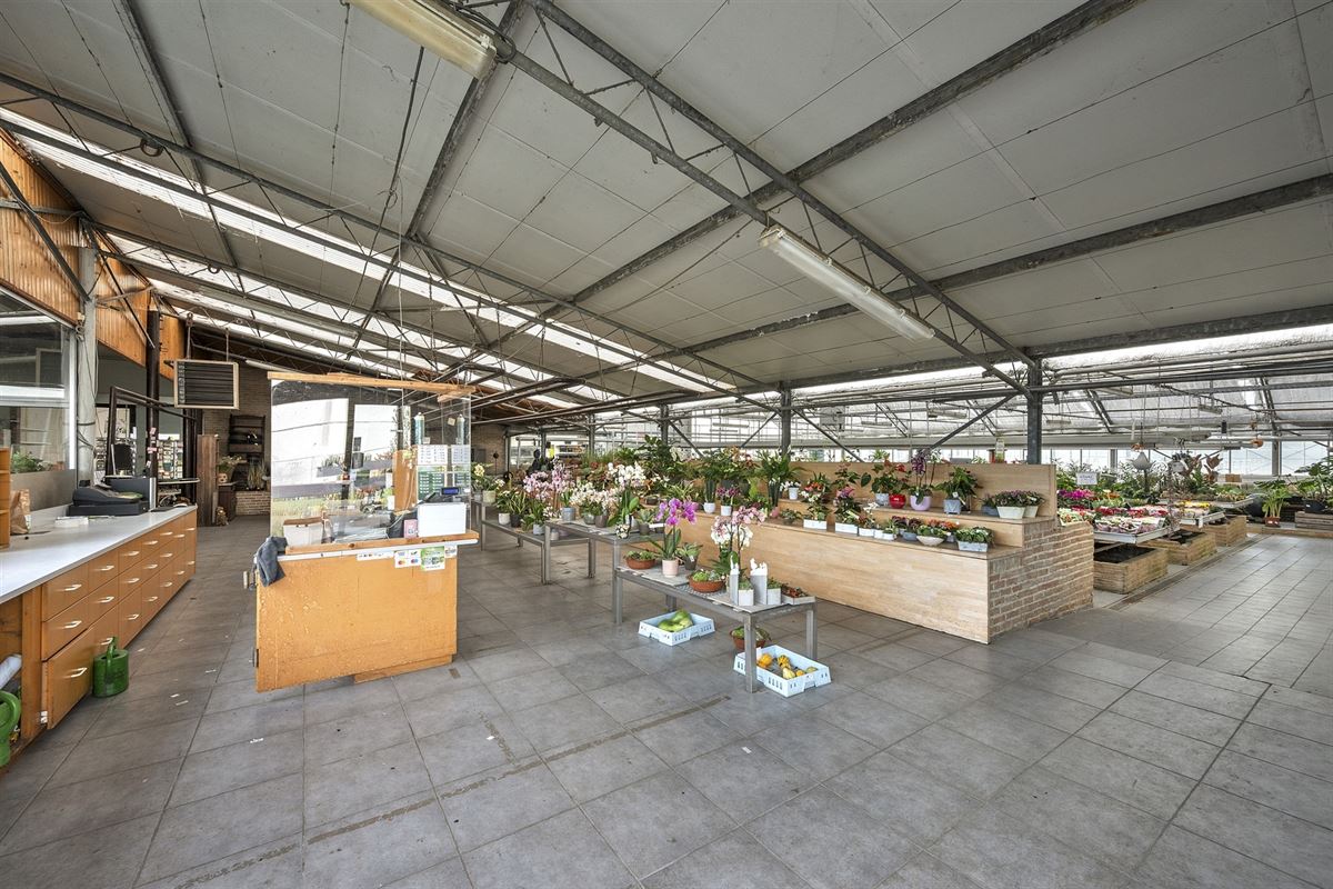 Handelspand met woonst