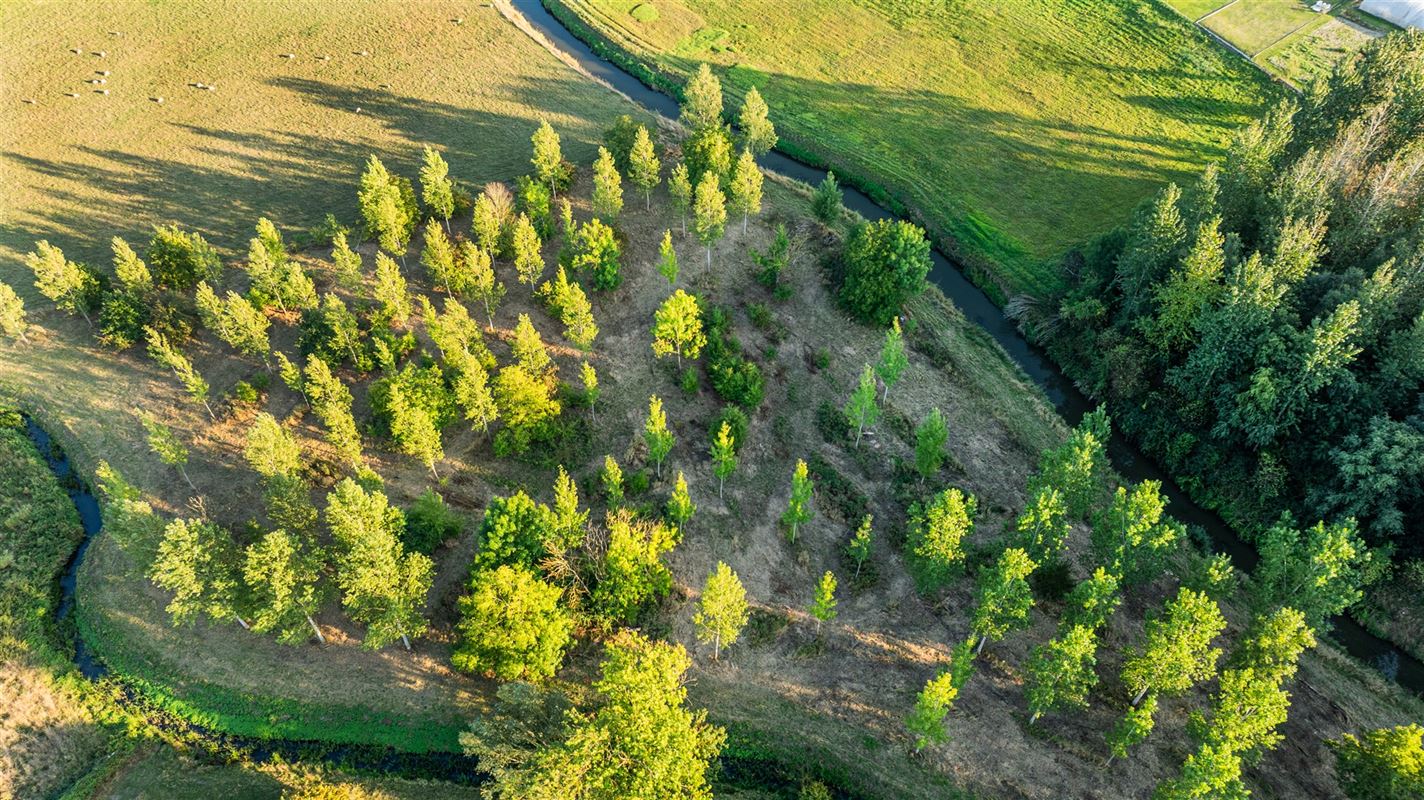 Twee beboste percelen in Stevoort.