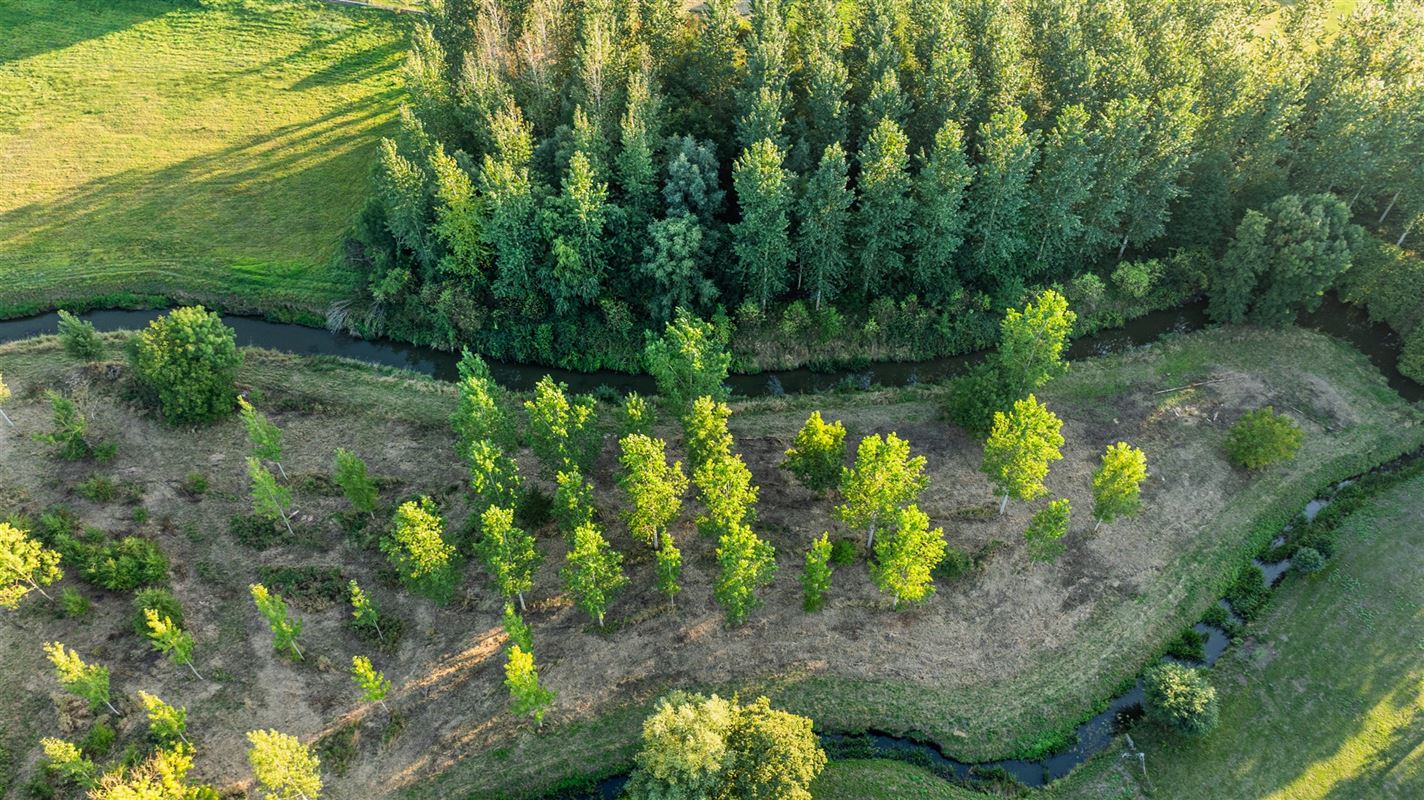Twee beboste percelen in Stevoort.