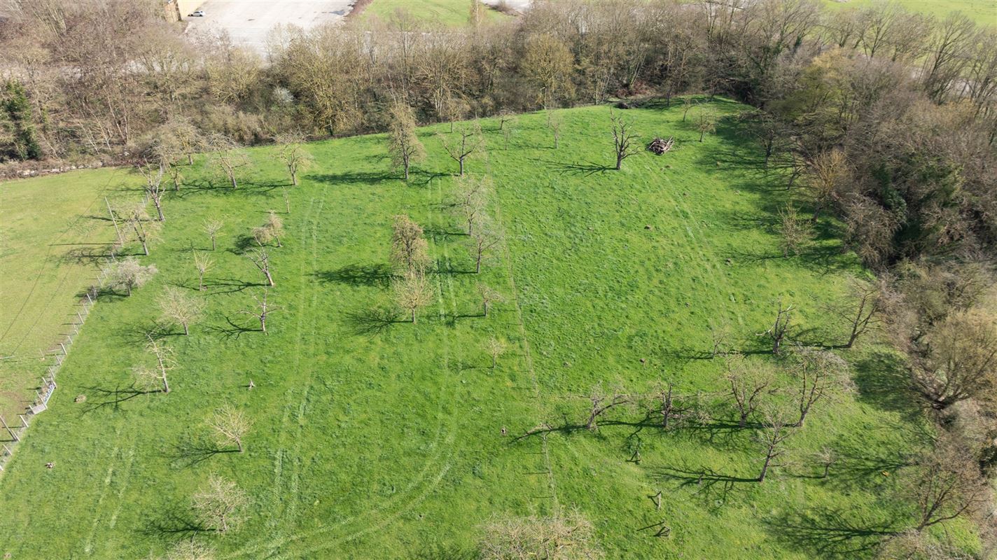 Landelijk gelegen te renoveren hoeve op 2 hectare!