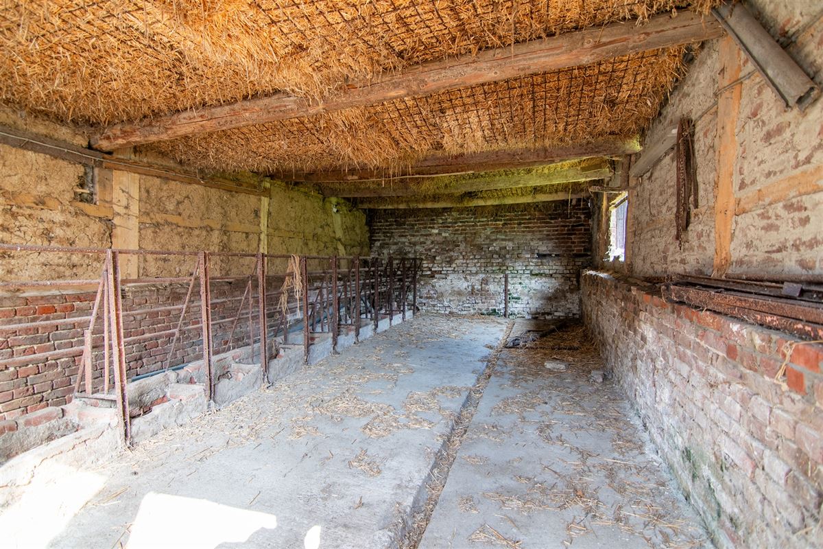 Landelijk gelegen te renoveren hoeve op 2 hectare!