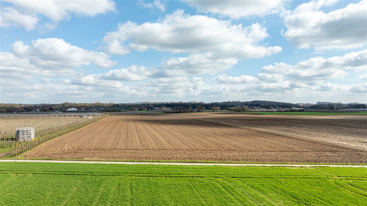 Drie percelen landbouwgrond gelegen in Sint-Truiden