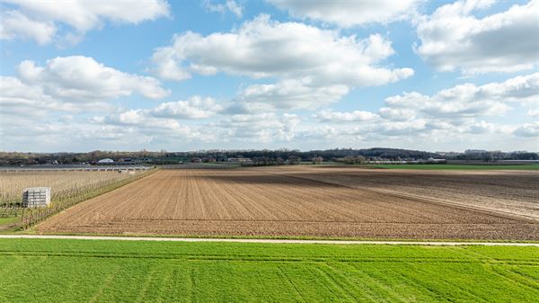 Drie percelen landbouwgrond gelegen in Sint-Truiden