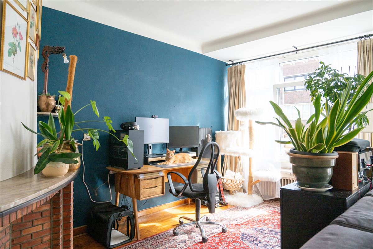 Lichtrijk karaktervol appartement in het stadscentrum!