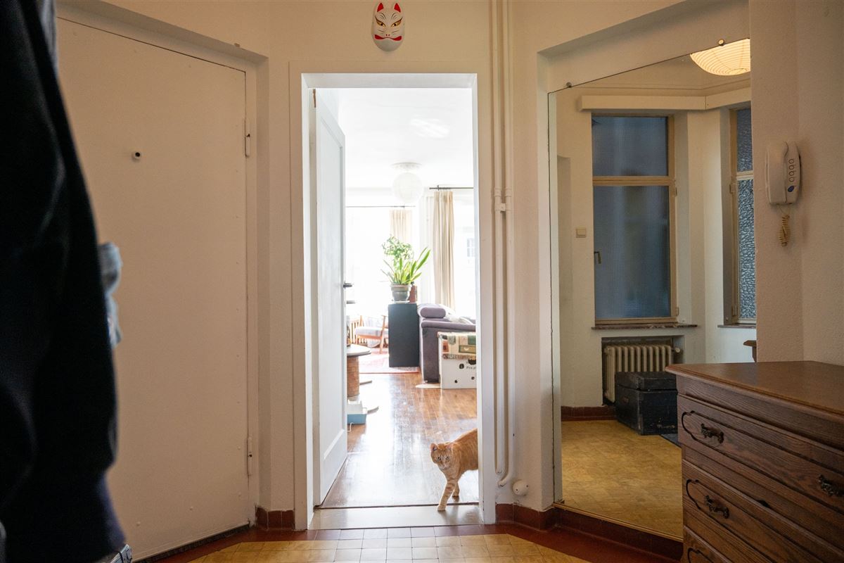Lichtrijk karaktervol appartement in het stadscentrum!