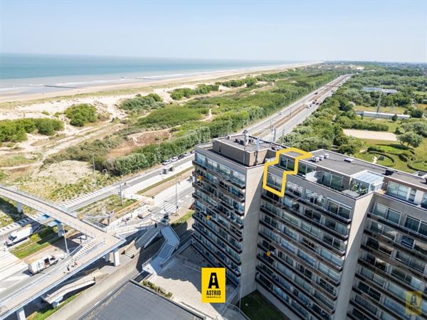 Uitzonderlijk aanbod! Duplexappartement op topligging met open zeezichten en riant zonne(dak)terras!