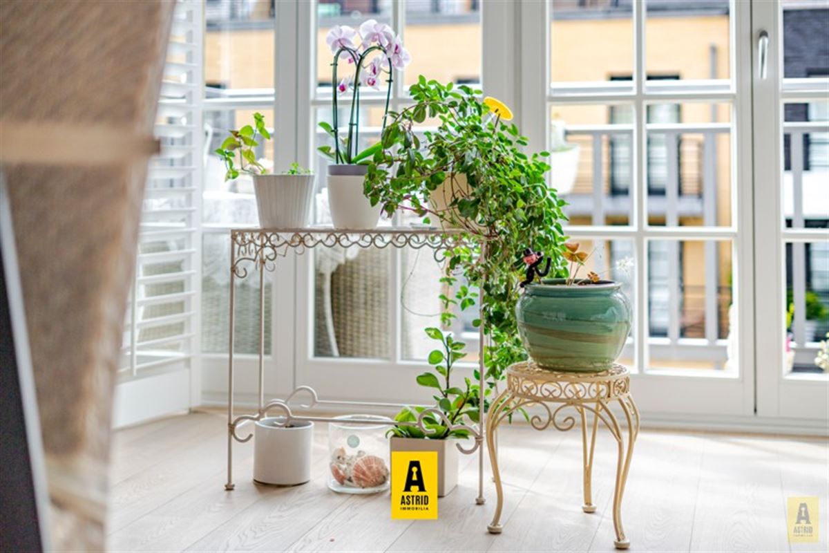 Schitterend appartement in Nieuwe Concessie!