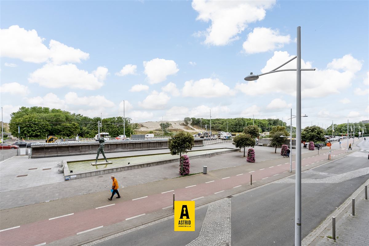 Schitterend appartement met zicht op duinen!