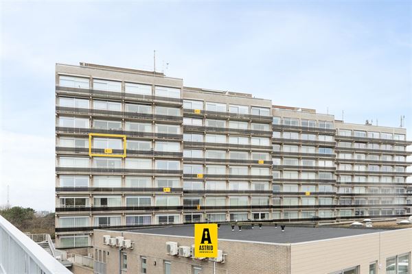 Studio met zeezicht én zon!