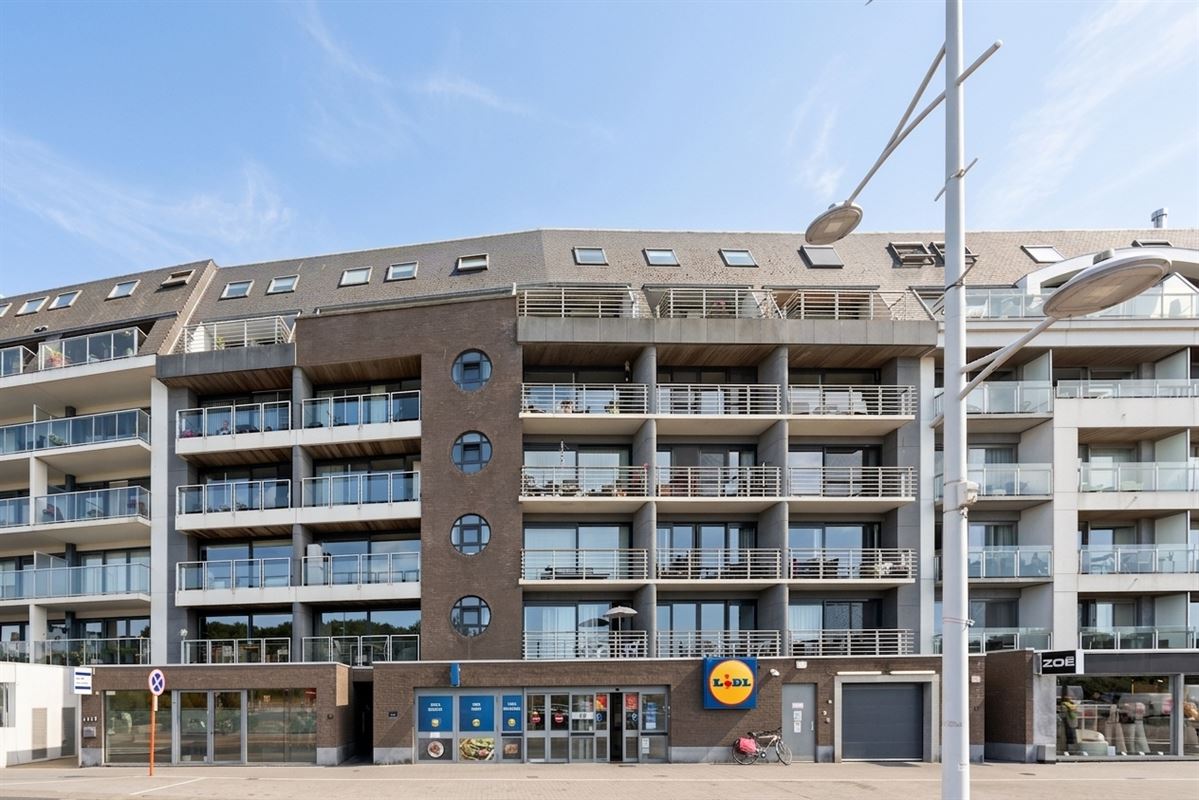 Ruime duplex met zonneterrassen & duinzicht