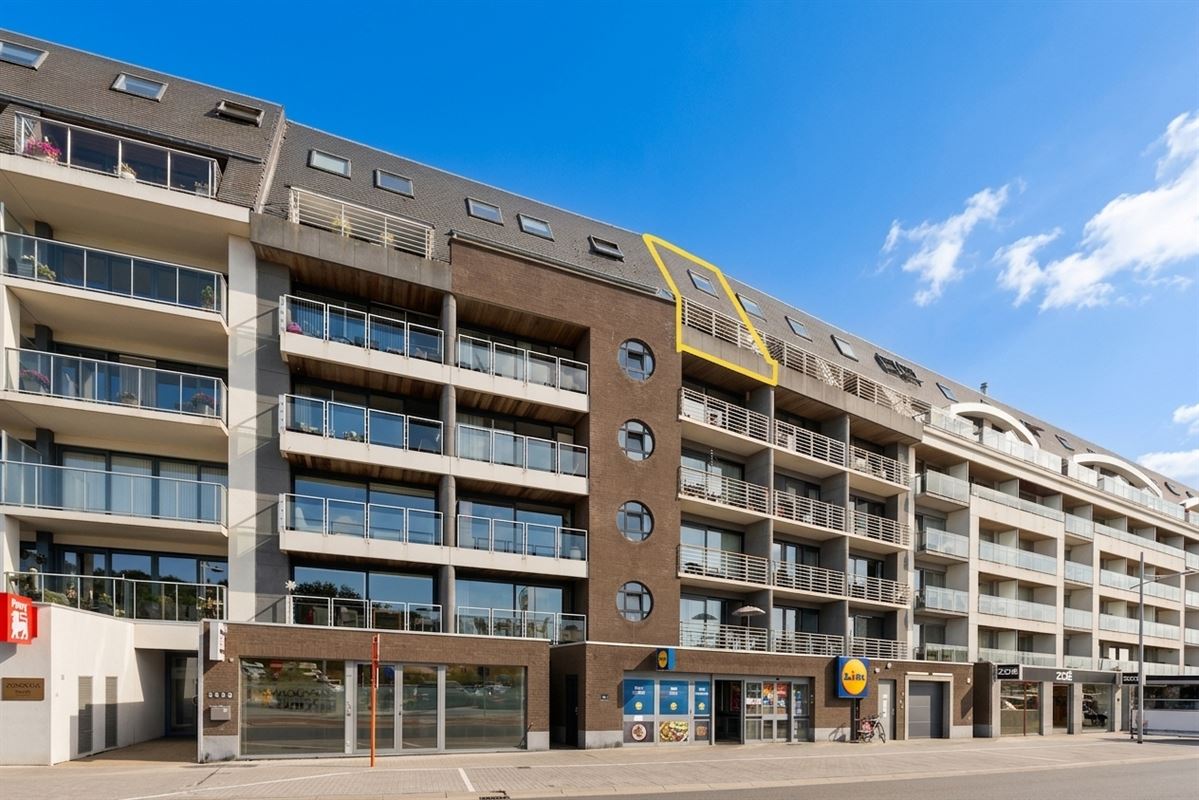 Ruime duplex met zonneterrassen & duinzicht