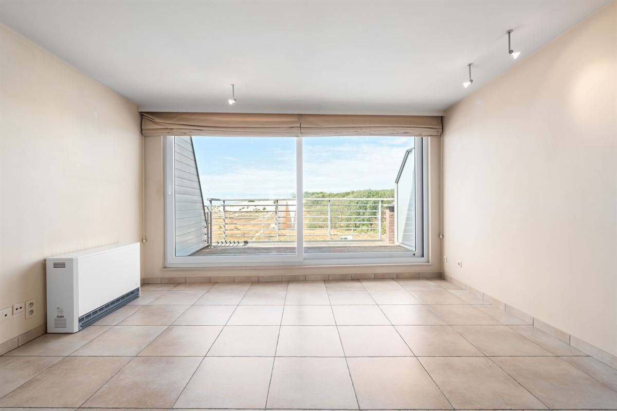 Ruime duplex met zonneterrassen & duinzicht