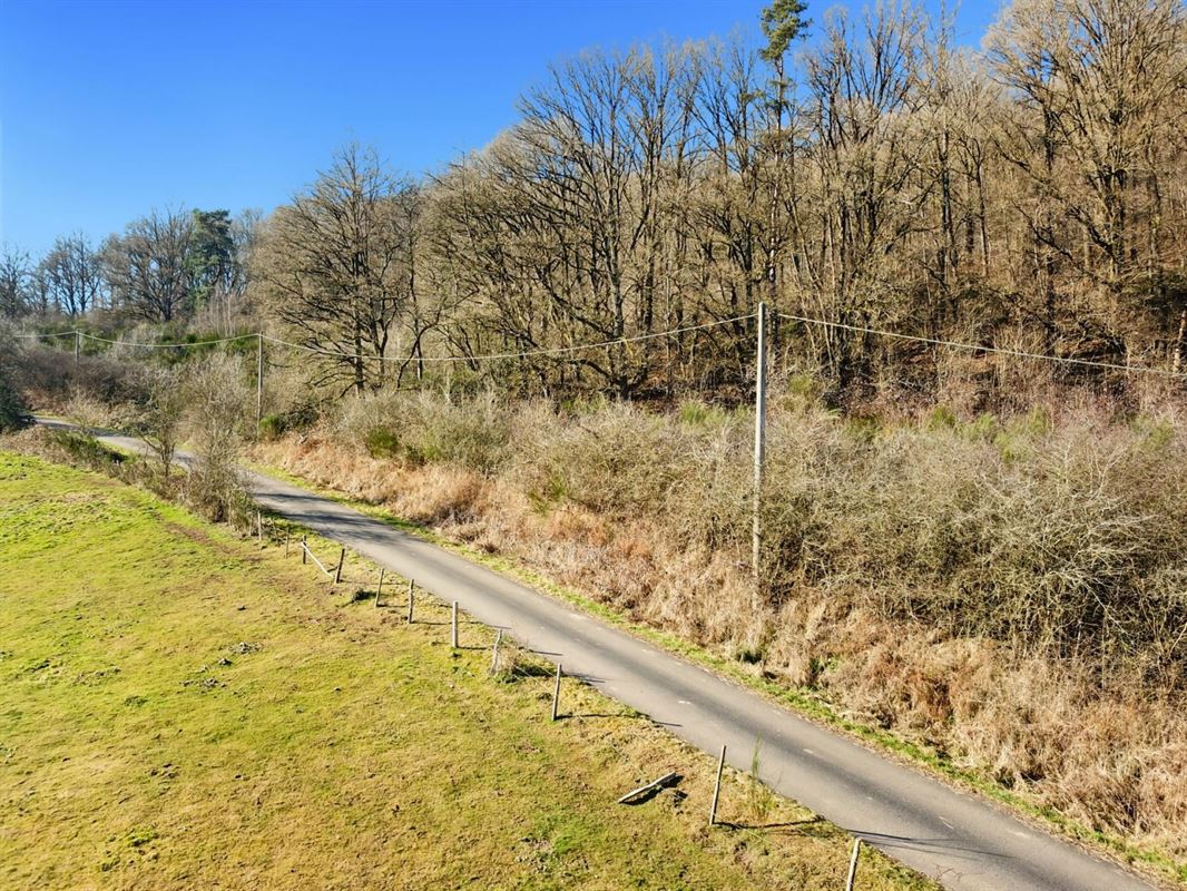 Dit perceel grond van meer dan 40 are ligt in de charmante bovenloop van Nohaipré, op slechts 2 minuten van Rendeux
