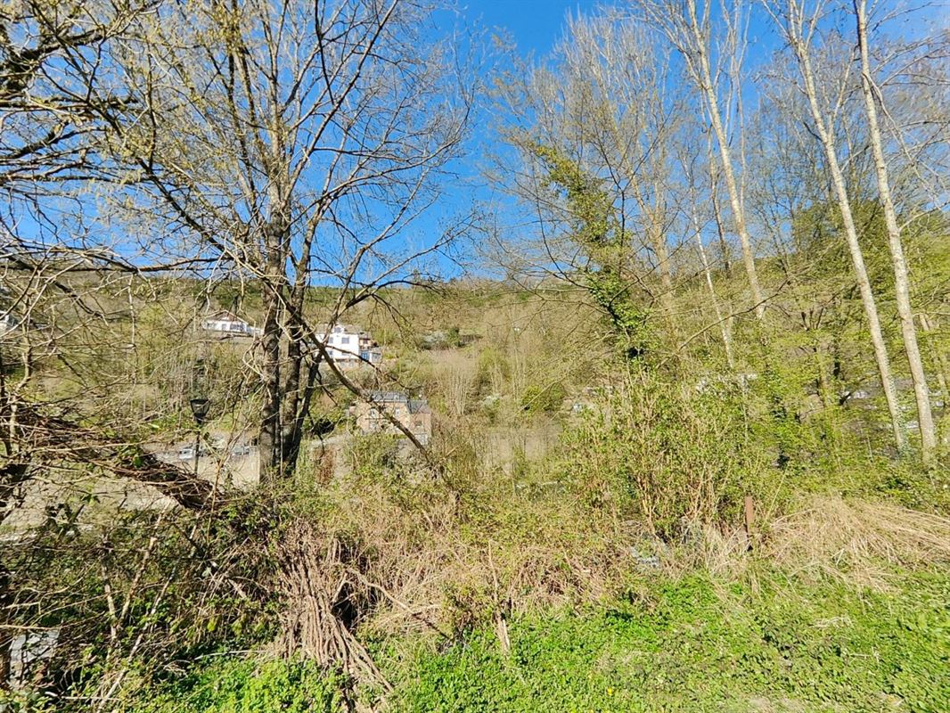 Terrain de 10 ares à La Roche-en-Ardenne