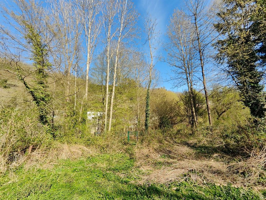 Terrain de 10 ares à La Roche-en-Ardenne