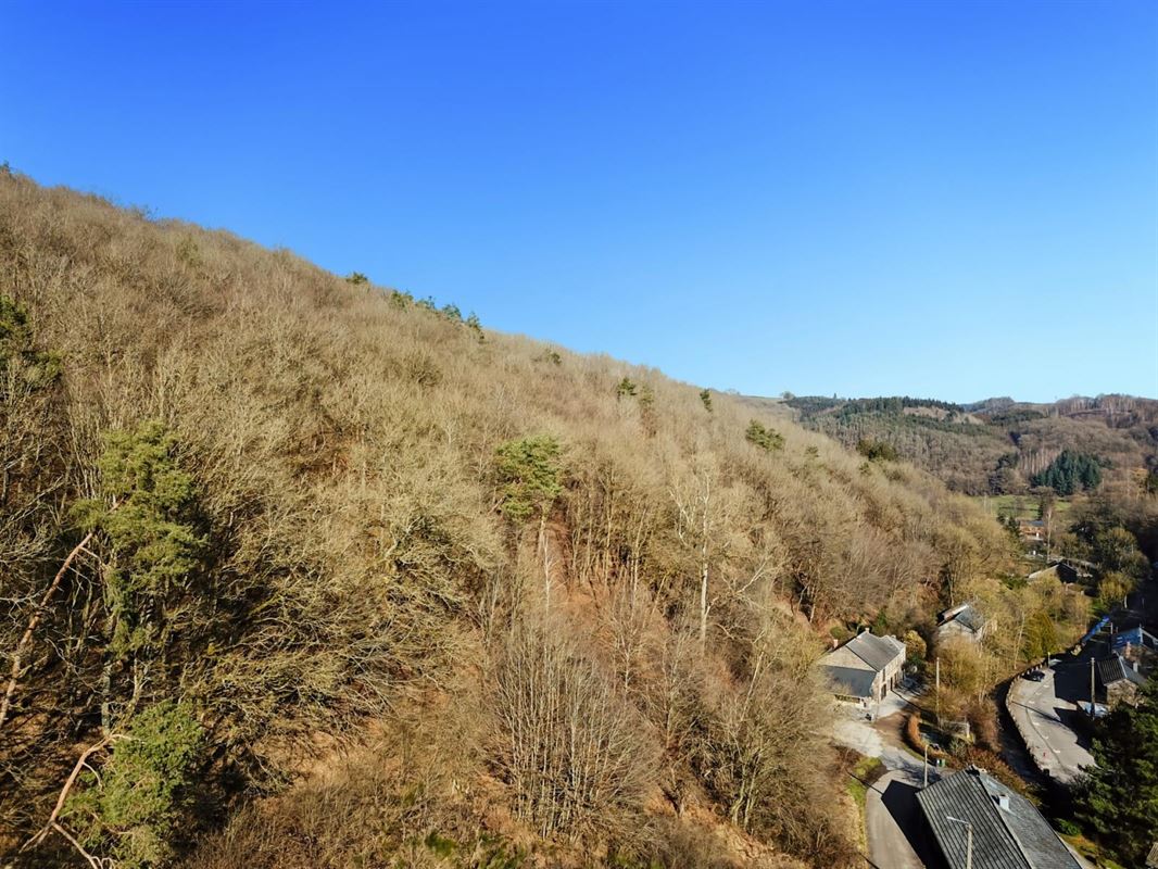 Ce terrain de + de 40 ares situé sur la commune de Rendeux.