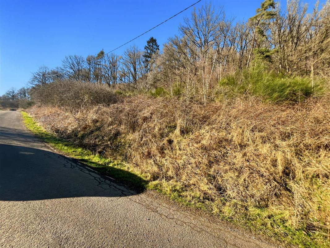 Dit perceel grond van meer dan 40 are ligt in de charmante bovenloop van Nohaipré, op slechts 2 minuten van Rendeux