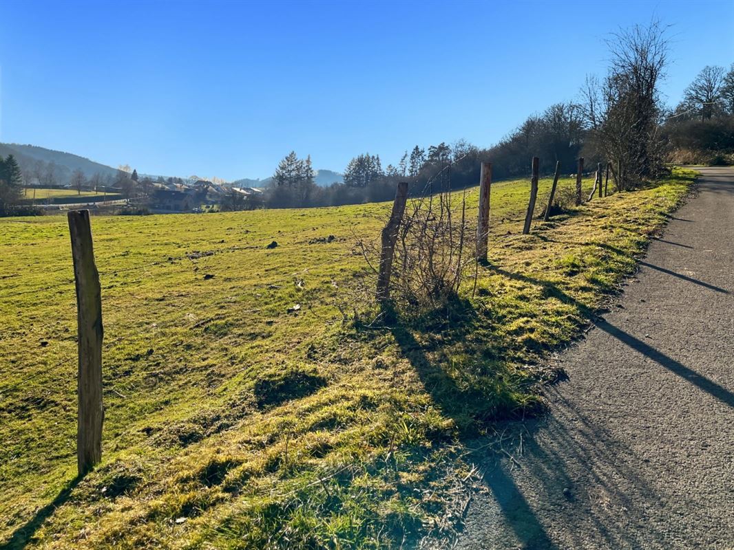 Dit perceel grond van meer dan 40 are ligt in de charmante bovenloop van Nohaipré, op slechts 2 minuten van Rendeux