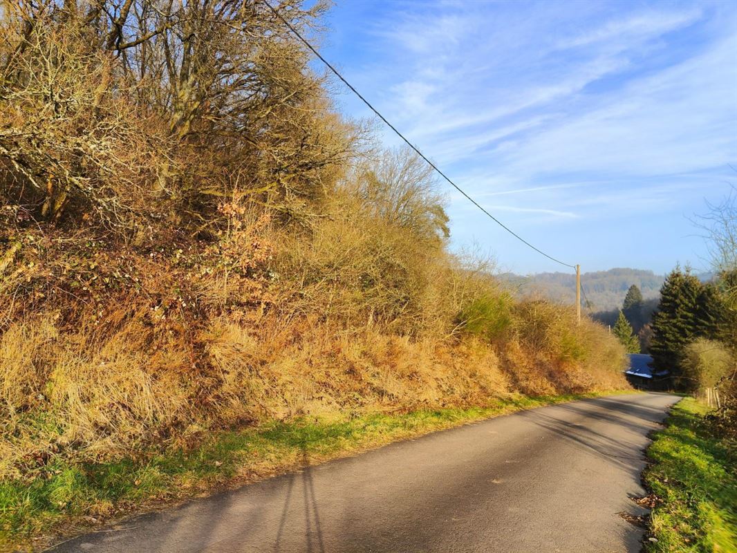 Ce terrain de + de 40 ares situé sur la commune de Rendeux.