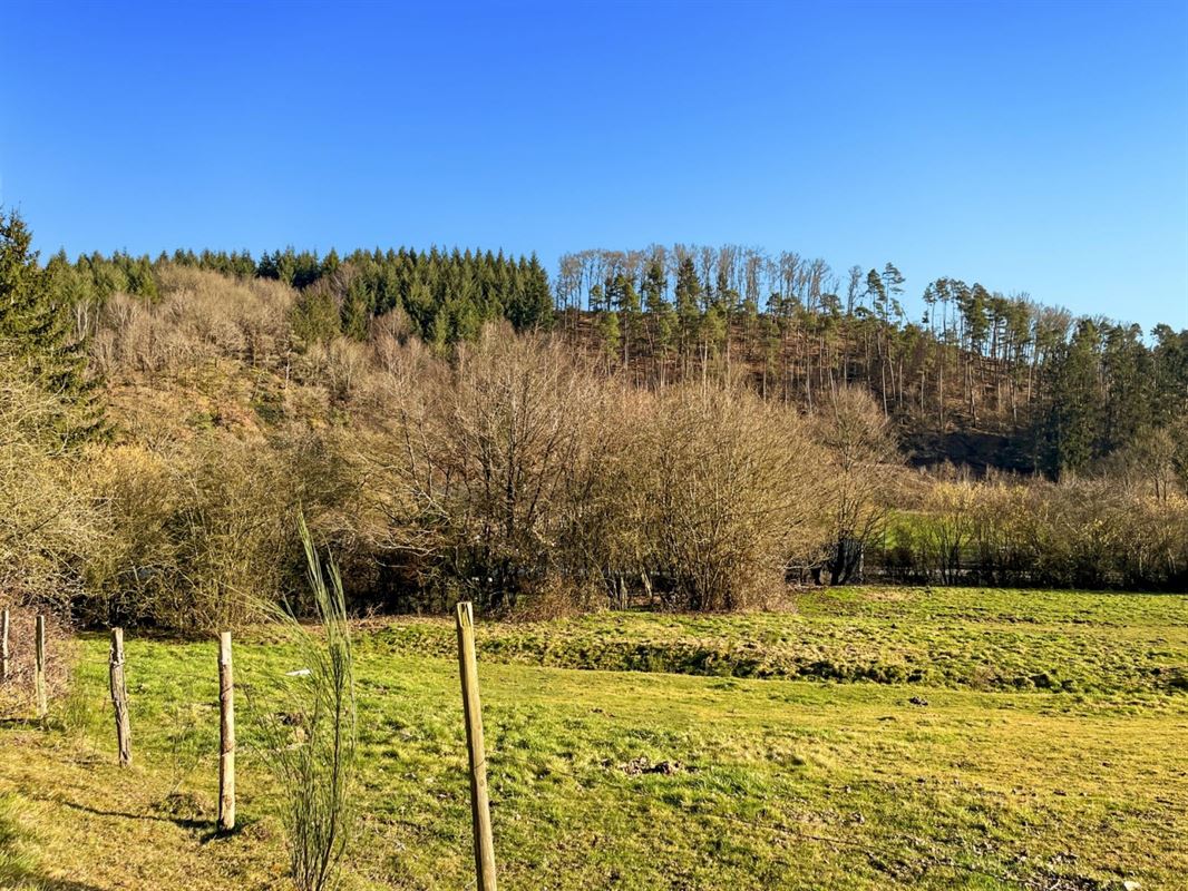 Ce terrain de + de 40 ares situé sur la commune de Rendeux.