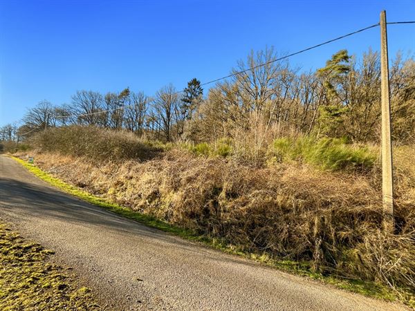 Dit perceel grond van meer dan 40 are ligt in de charmante bovenloop van Nohaipré, op slechts 2 minuten van Rendeux