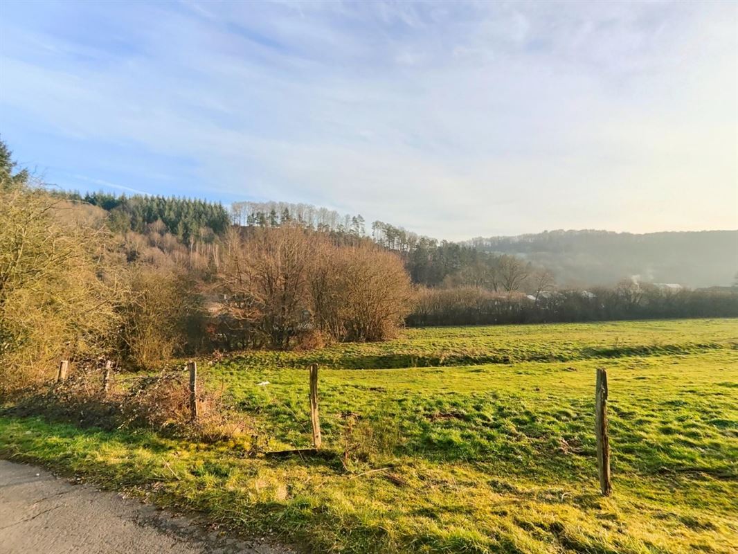 Ce terrain de + de 40 ares situé sur la commune de Rendeux.