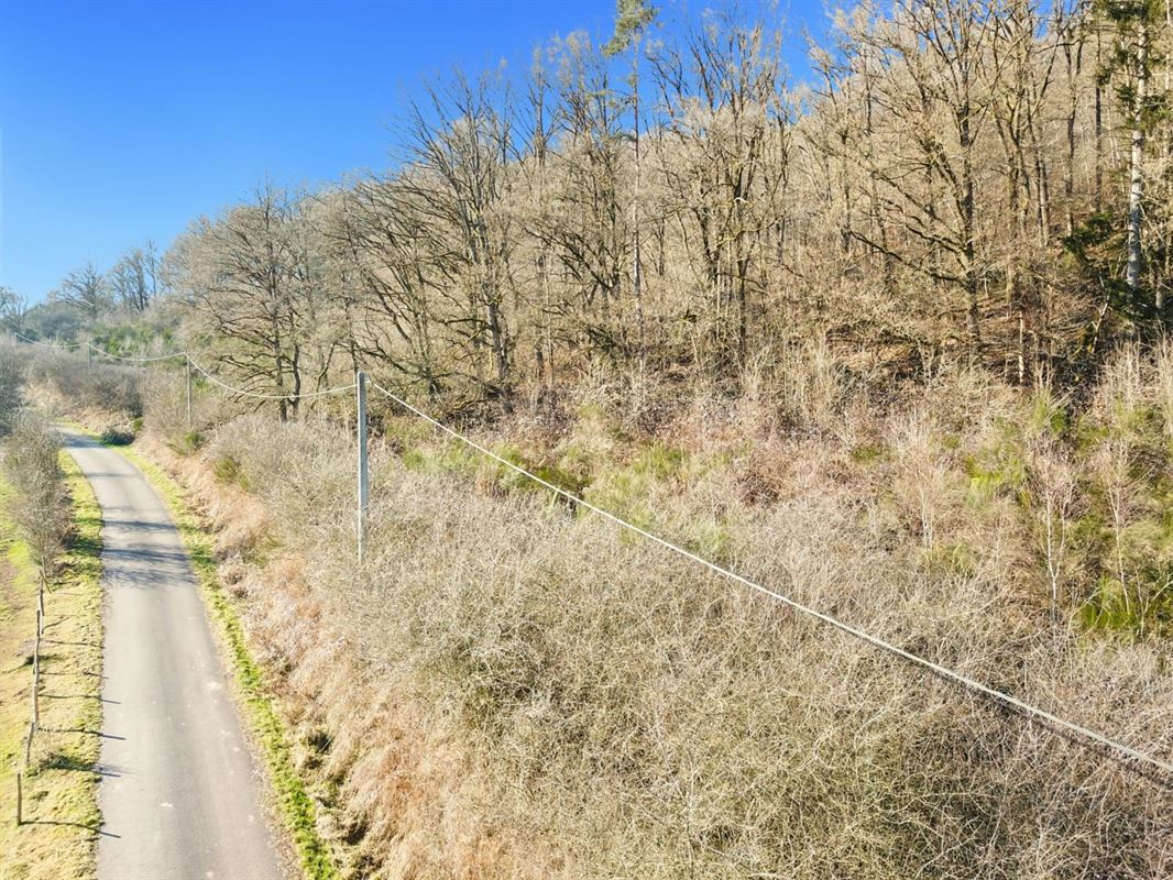Dit perceel grond van meer dan 40 are ligt in de charmante bovenloop van Nohaipré, op slechts 2 minuten van Rendeux