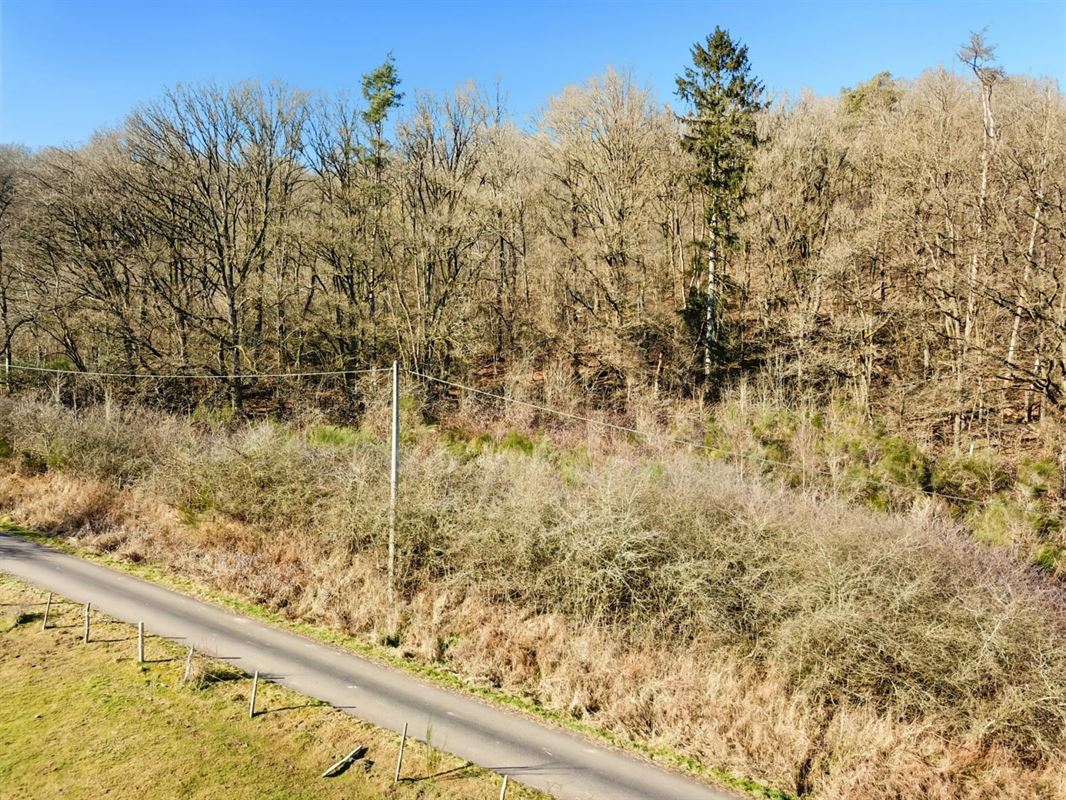 Dit perceel grond van meer dan 40 are ligt in de charmante bovenloop van Nohaipré, op slechts 2 minuten van Rendeux