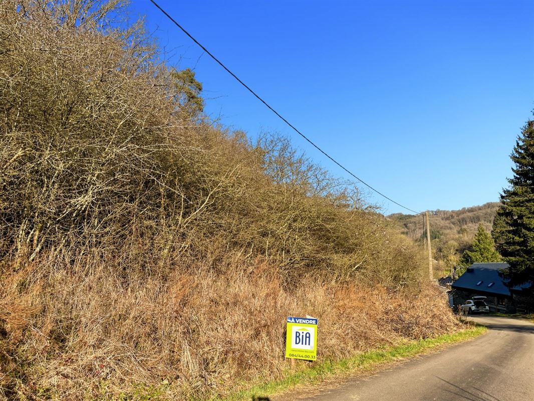 Ce terrain de + de 40 ares situé sur la commune de Rendeux.