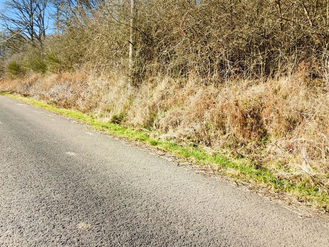 Dit perceel grond van meer dan 40 are ligt in de charmante bovenloop van Nohaipré, op slechts 2 minuten van Rendeux