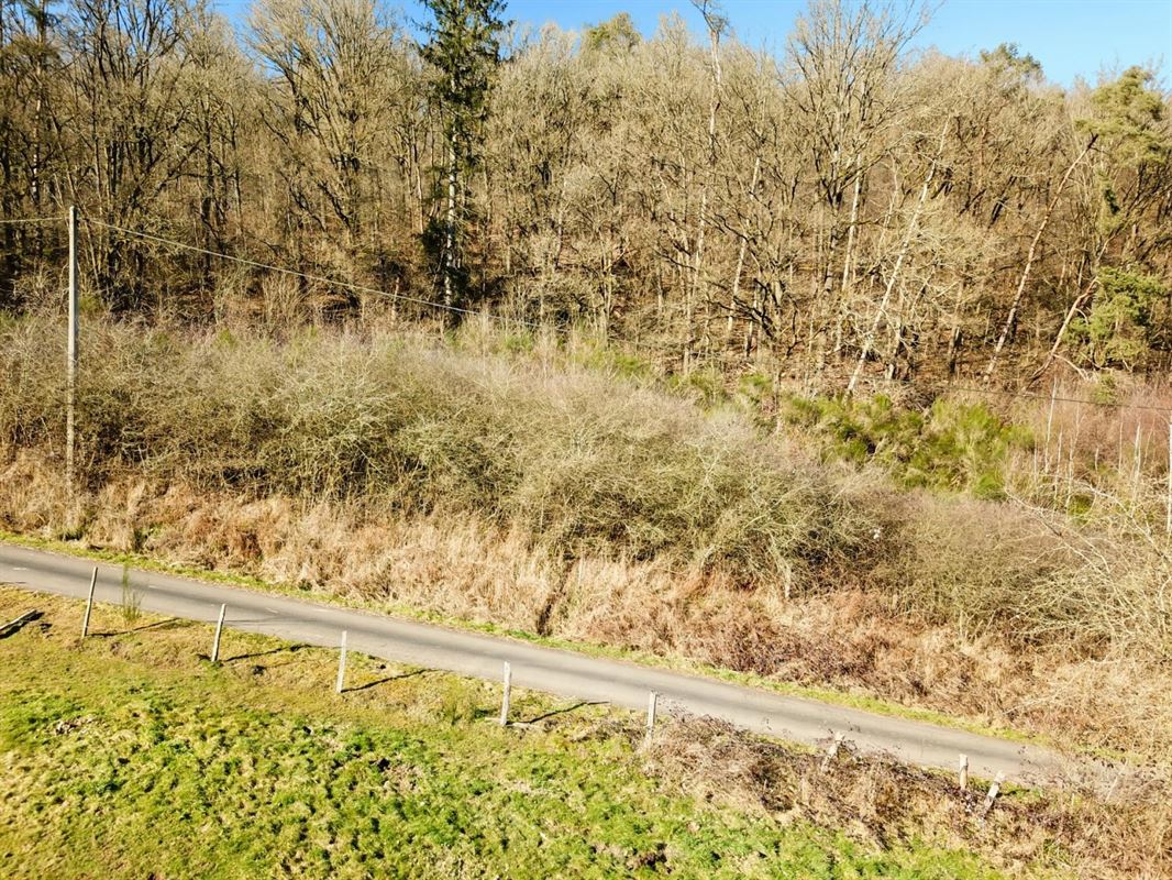 Dit perceel grond van meer dan 40 are ligt in de charmante bovenloop van Nohaipré, op slechts 2 minuten van Rendeux