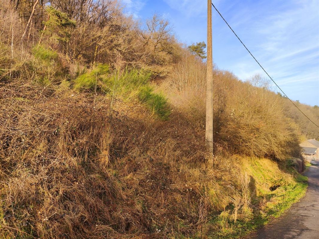Ce terrain de + de 40 ares situé sur la commune de Rendeux.
