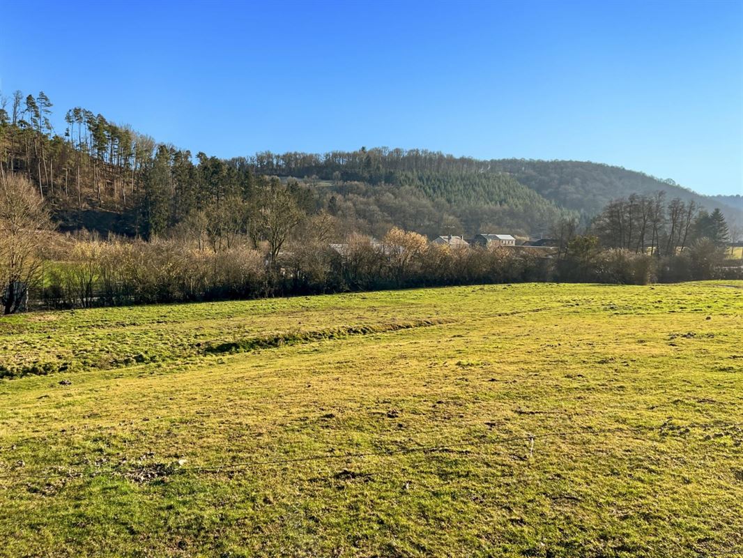 Ce terrain de + de 40 ares situé sur la commune de Rendeux.
